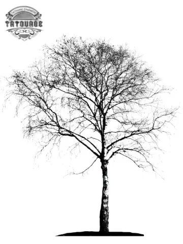 tatouage ephemere arbre bouleau Tatouage éphémère arbre bouleau
