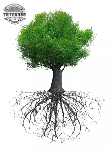 tatouage ephemere arbre de vie realiste Tatouage éphémère arbre de vie réaliste