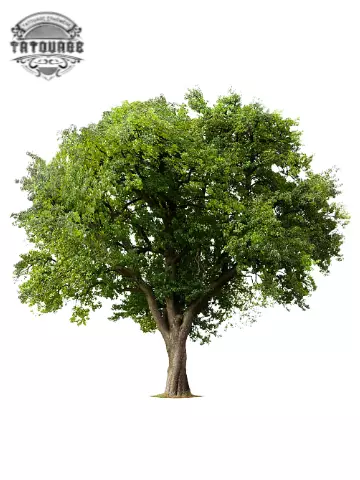 tatouage ephemere arbre nature Tatouage éphémère arbre nature