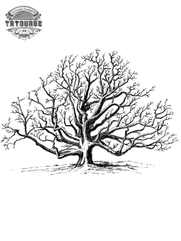 tatouage ephemere arbre noyer Tatouage éphémère arbre noyer