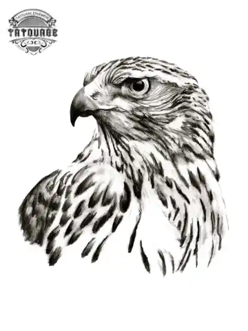 Tatouage éphémère buse oiseau
