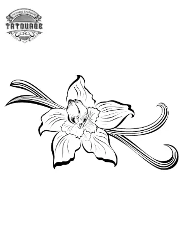 tatouage ephemere de fleur vanille Tatouage éphémère de fleur vanille