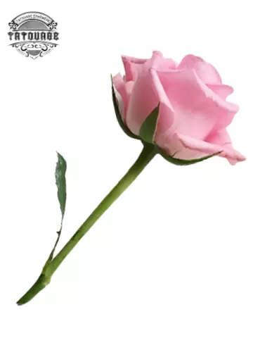 tatouage ephemere fleur 3d Tatouage éphémère fleur 3d