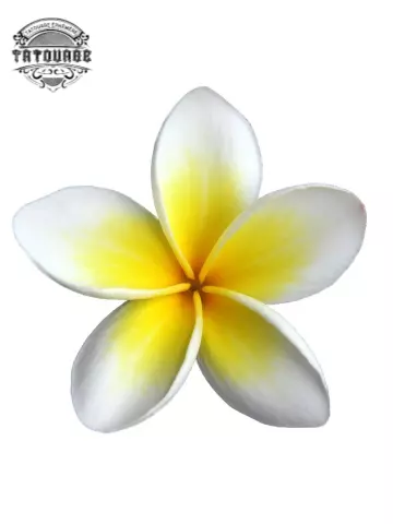 Tatouage éphémère fleur frangipanier