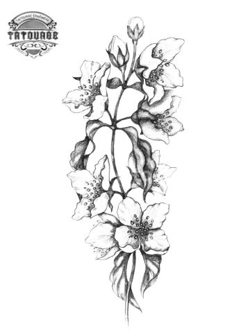 tatouage ephemere fleur jasmin Tatouage éphémère fleur jasmin