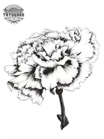tatouage ephemere fleur oeillet Tatouage éphémère fleur œillet