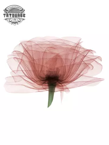 tatouage ephemere fleur rayon x Tatouage éphémère fleur rayon X