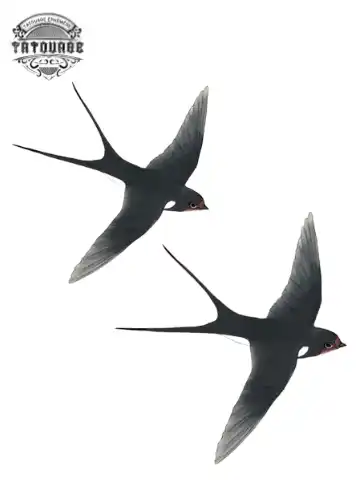 tatouage ephemere oiseau amitie Tatouage éphémère oiseau amitié