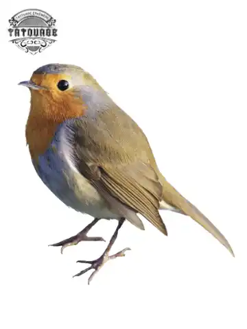 tatouage ephemere oiseau realiste Tatouage éphémère oiseau réaliste
