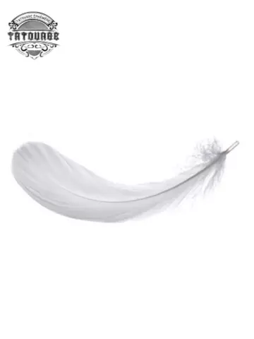 tatouage ephemere plume ange Tatouage éphémère plume ange