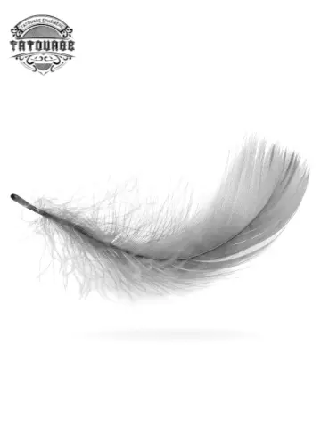 tatouage ephemere plume d_ange Tatouage éphémère plume d’ange