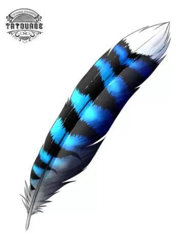 tatouage ephemere plume de geai bleu Tatouage éphémère plume de geai bleu