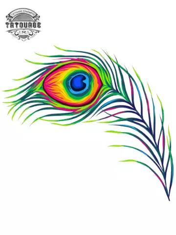tatouage ephemere plume de paon graphique Tatouage éphémère plume de paon graphique
