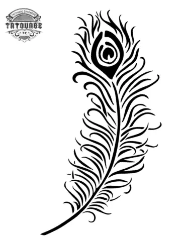 tatouage ephemere plume de paon noir et blanc Tatouage éphémère plume de paon noir et blanc
