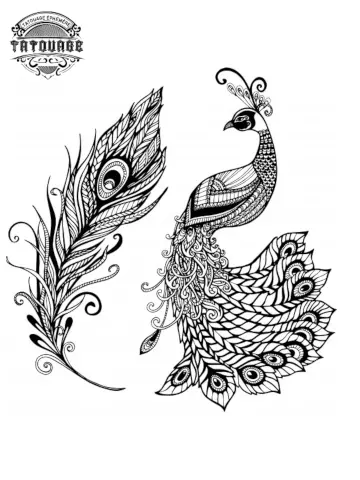 Tatouage éphémère plume de paon