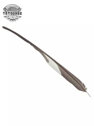 tatouage ephemere plume hirondelle Tatouage éphémère plume hirondelle