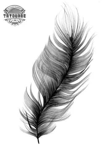 tatouage ephemere plume noire Tatouage éphémère plume noire