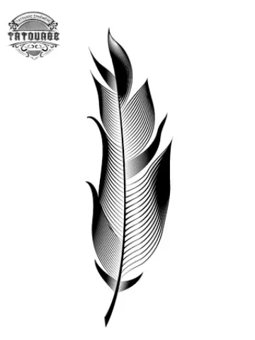 tatouage ephemere plume original Tatouage éphémère plume original