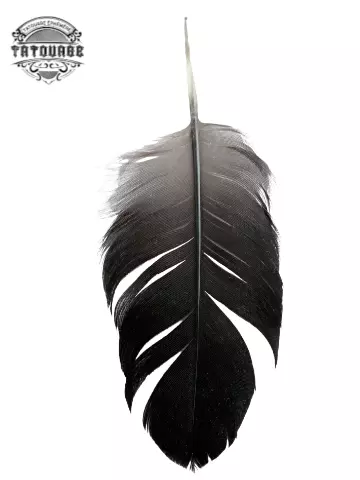 tatouage ephemere plume realiste Tatouage éphémère plume réaliste