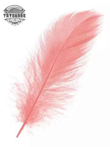 tatouage ephemere plume rose Tatouage éphémère plume rose