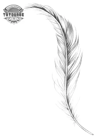 tatouage ephemere plume tres fine Tatouage éphémère plume très fine