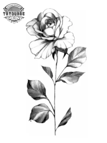 tatouage ephemere rose avec tige Tatouage éphémère rose avec tige