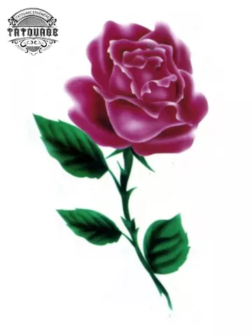 Tatouage éphémère rose belle et la bête