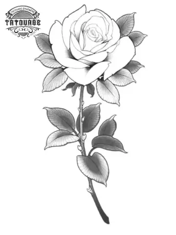 tatouage ephemere rose blanche tatouage éphémère rose blanche