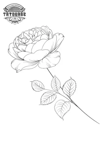 Tatouage éphémère rose fine