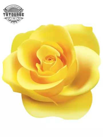 tatouage ephemere rose jaune Tatouage éphémère rose jaune