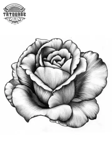 tatouage ephemere rose ombre Tatouage éphémère rose ombre