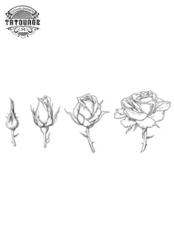 tatouage ephemere rose qui s'ouvre Tatouage éphémère rose qui s’ouvre