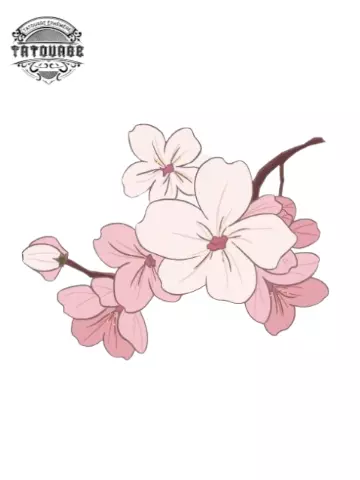 tatouage ephemere une fleur de cerisier Tatouage éphémère une fleur de cerisier