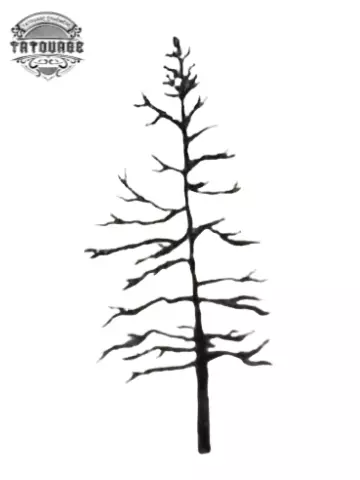 tatouage ephemere arbre fin Tatouage éphémère arbre fin
