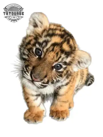 Tatouage éphémère bébé tigre