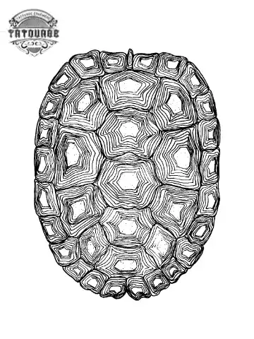 tatouage ephemere carapace tortue Tatouage éphémère carapace tortue
