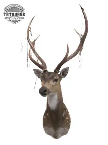 tatouage ephemere cerf realiste Tatouage éphémère cerf réaliste