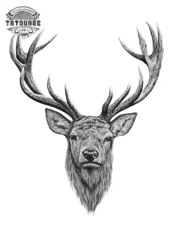 Tatouage éphémère cerf