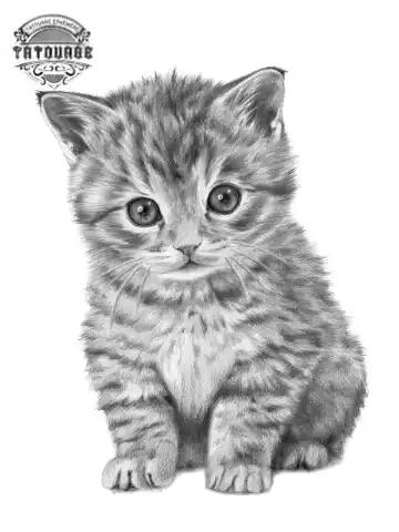 tatouage ephemere chat bebe Tatouage éphémère chat bébé