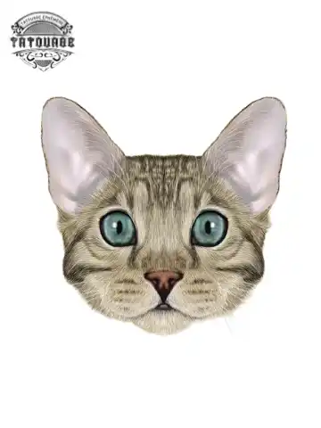 tatouage ephemere chat bengal Tatouage éphémère chat bengal