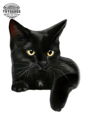 tatouage ephemere chat noir Tatouage éphémère chat noir
