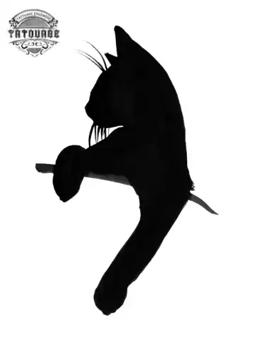 tatouage ephemere chat profil Tatouage éphémère chat profil