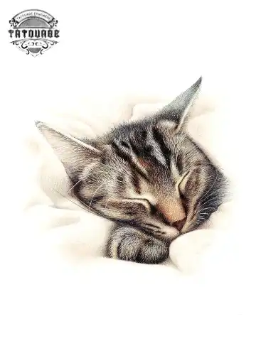 tatouage ephemere chat qui dort Tatouage éphémère chat qui dort