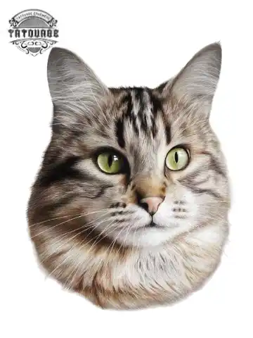 tatouage ephemere chat realiste Tatouage éphémère chat réaliste
