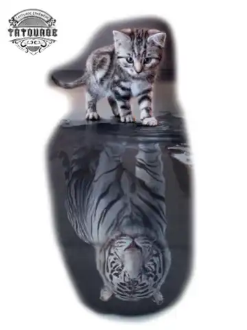 tatouage ephemere chat tigre Tatouage éphémère chat tigré