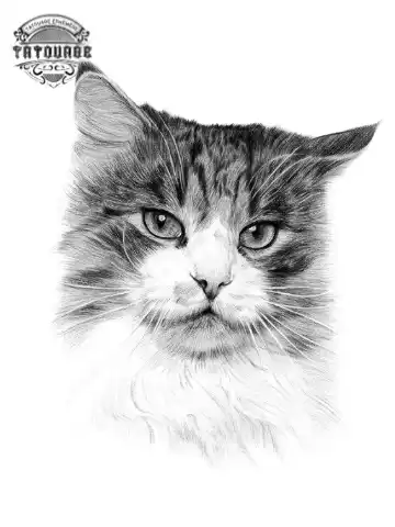 Tatouage éphémère chat