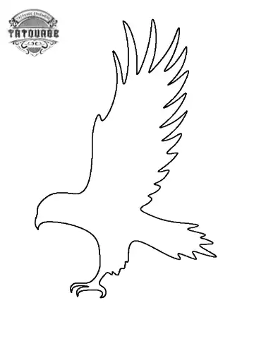 tatouage ephemere contour aigle Tatouage éphémère contour aigle