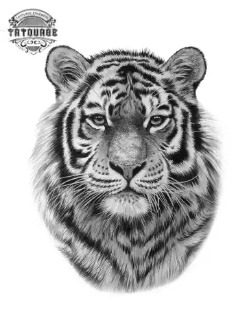 Tatouage éphémère de tigre