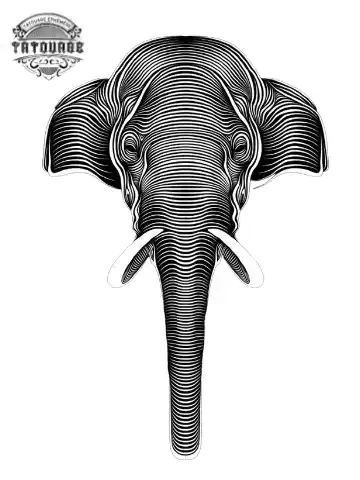 tatouage ephemere elephant graphique Tatouage éphémère éléphant graphique