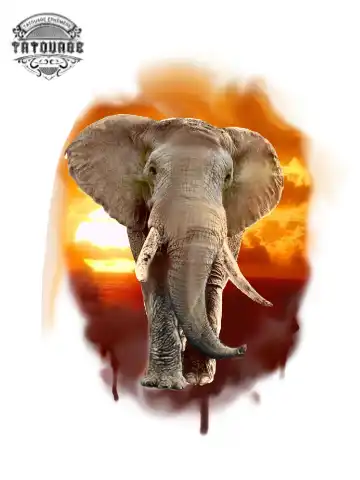 Tatouage éphémère éléphant réaliste